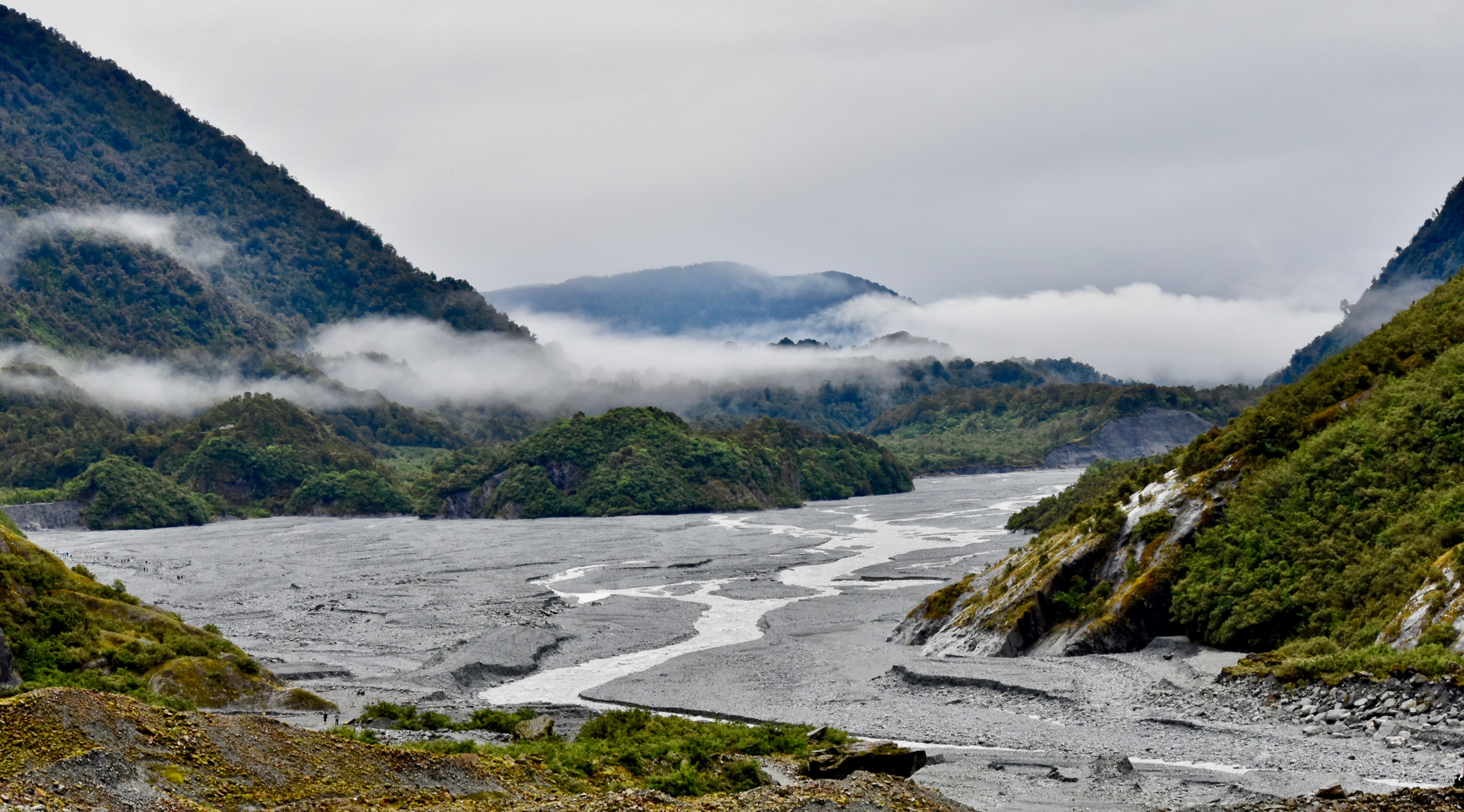 Franz Josef Glacier surrounded by rainforest, South Island — Two for the Row'd