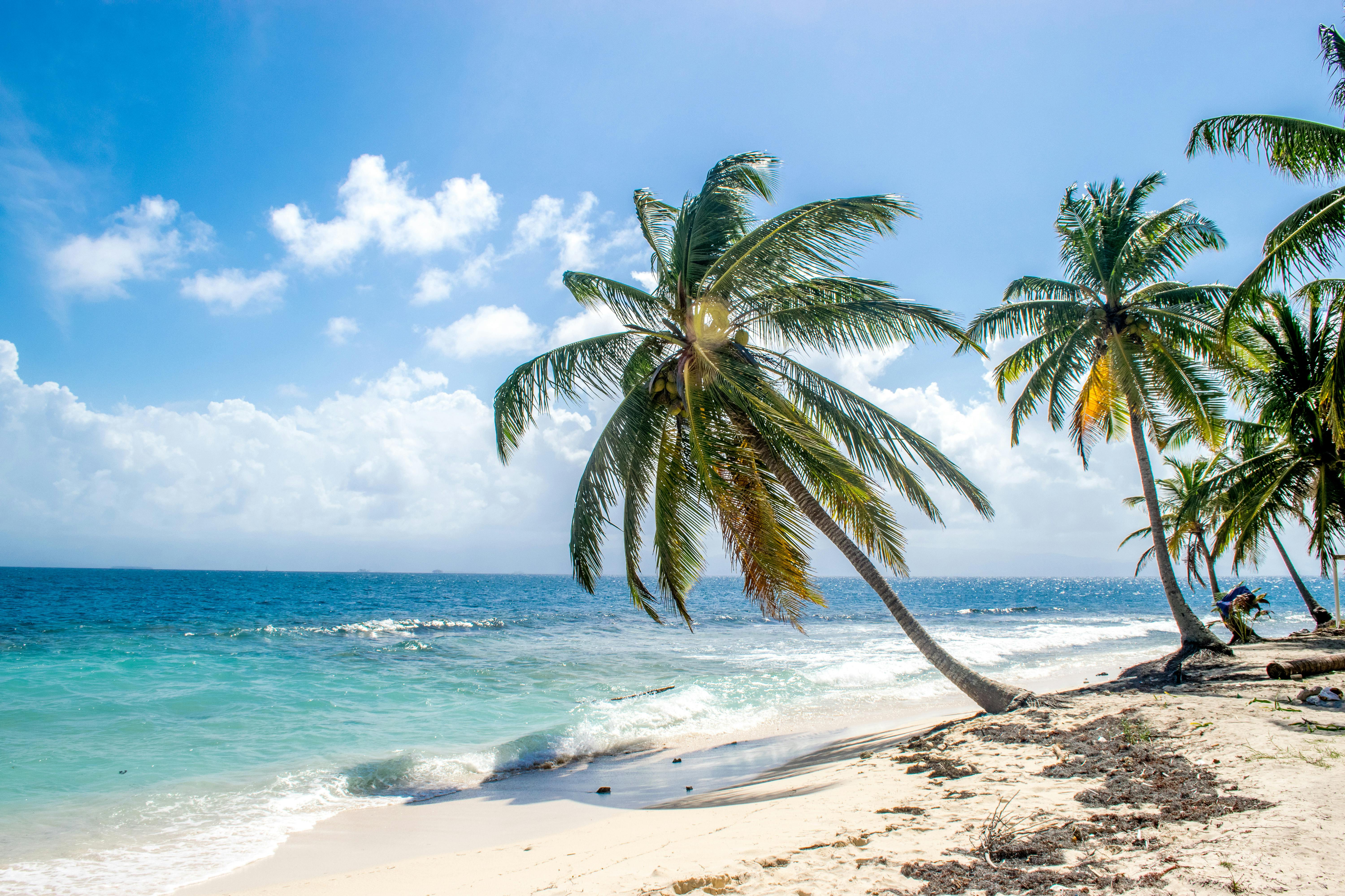 Guadeloupe beach — Two for the Row'd