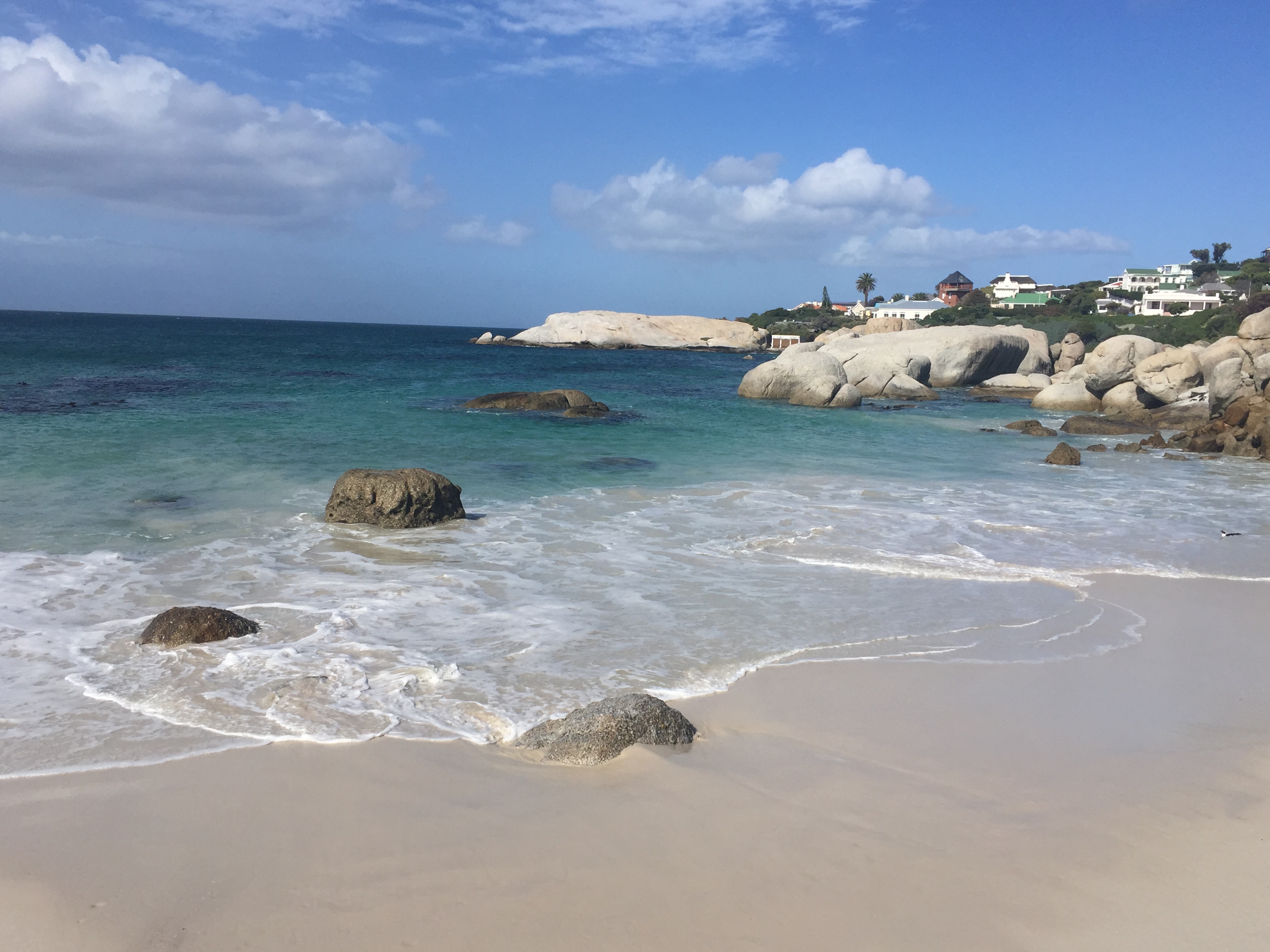 Boulders and blue water at the African penguin colony near Cape Town