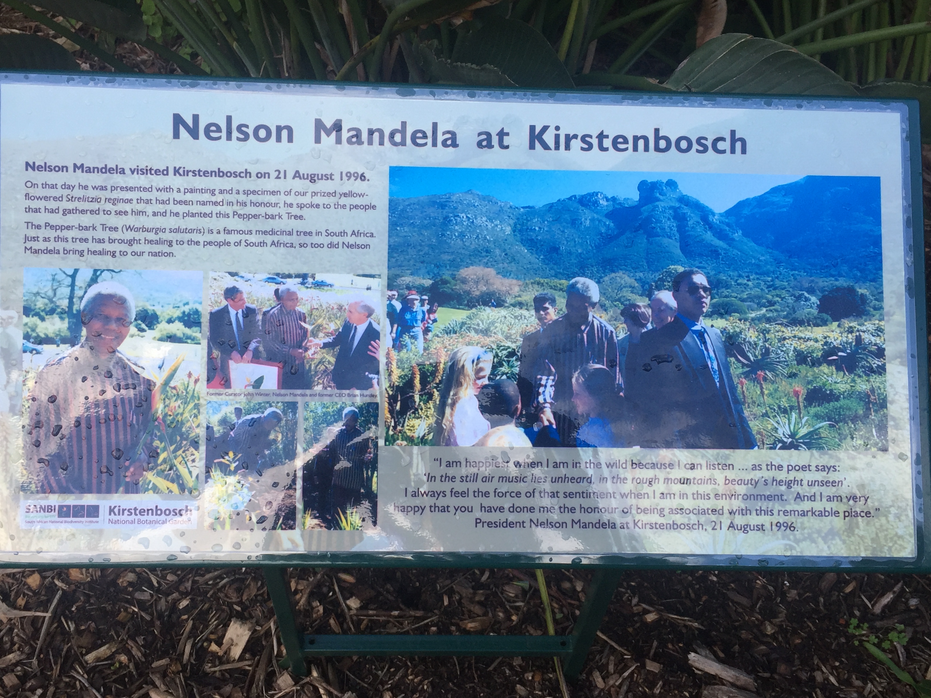 Nelson Mandela at Kirstenbosch interpretive sign