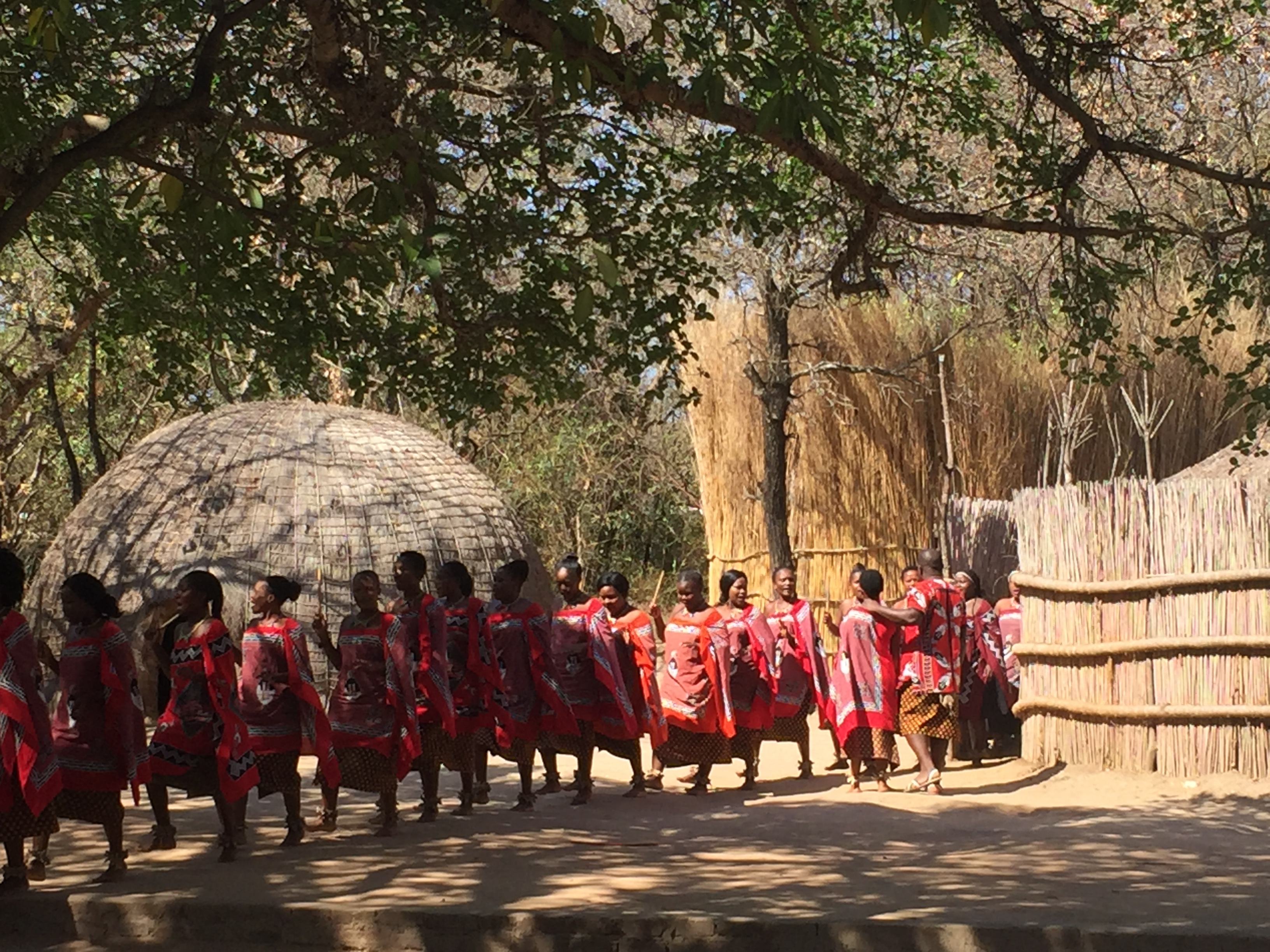 Traditional cultural performance during our Eswatini visit