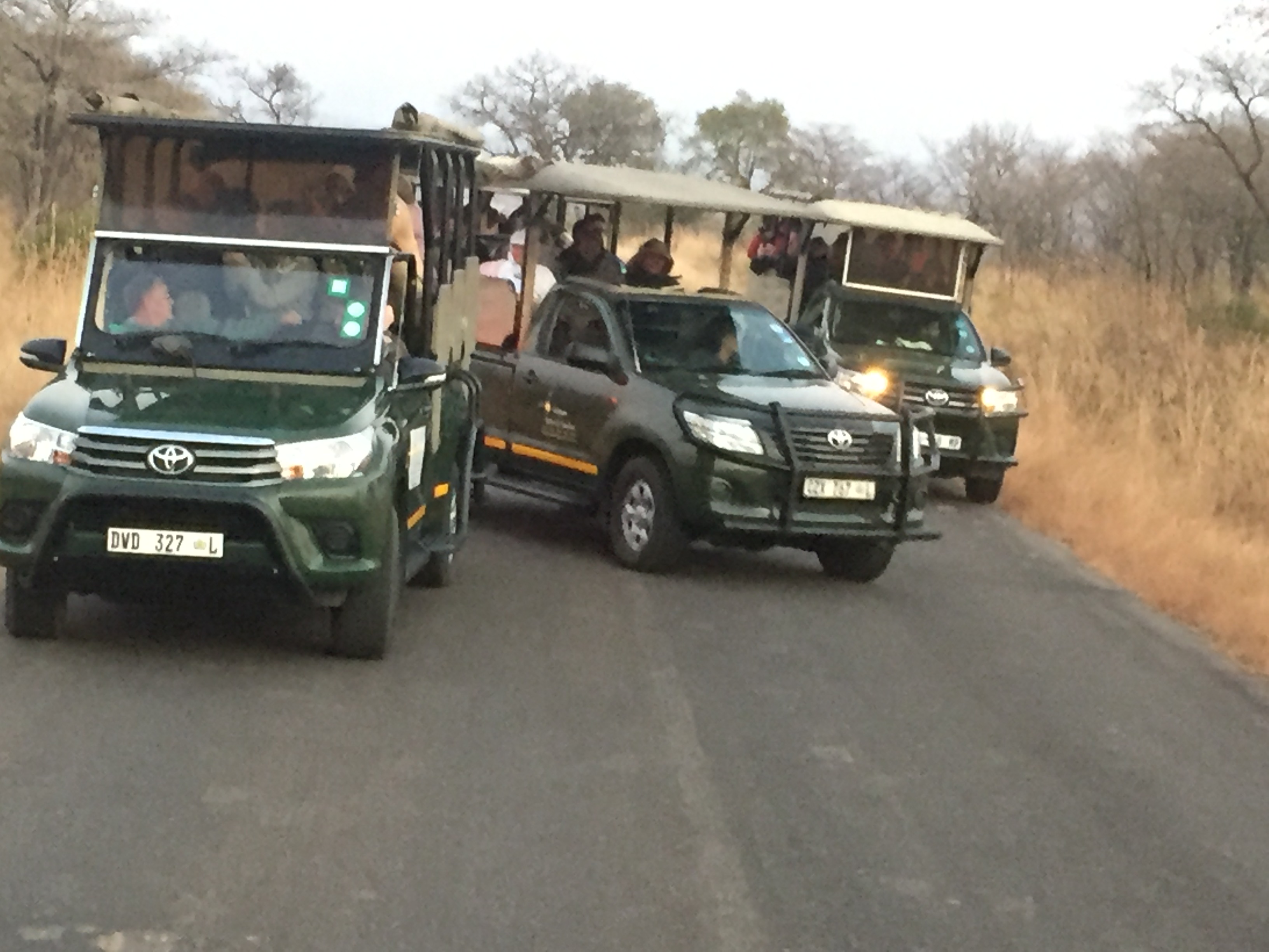Safari vehicles during our South Africa wildlife journey