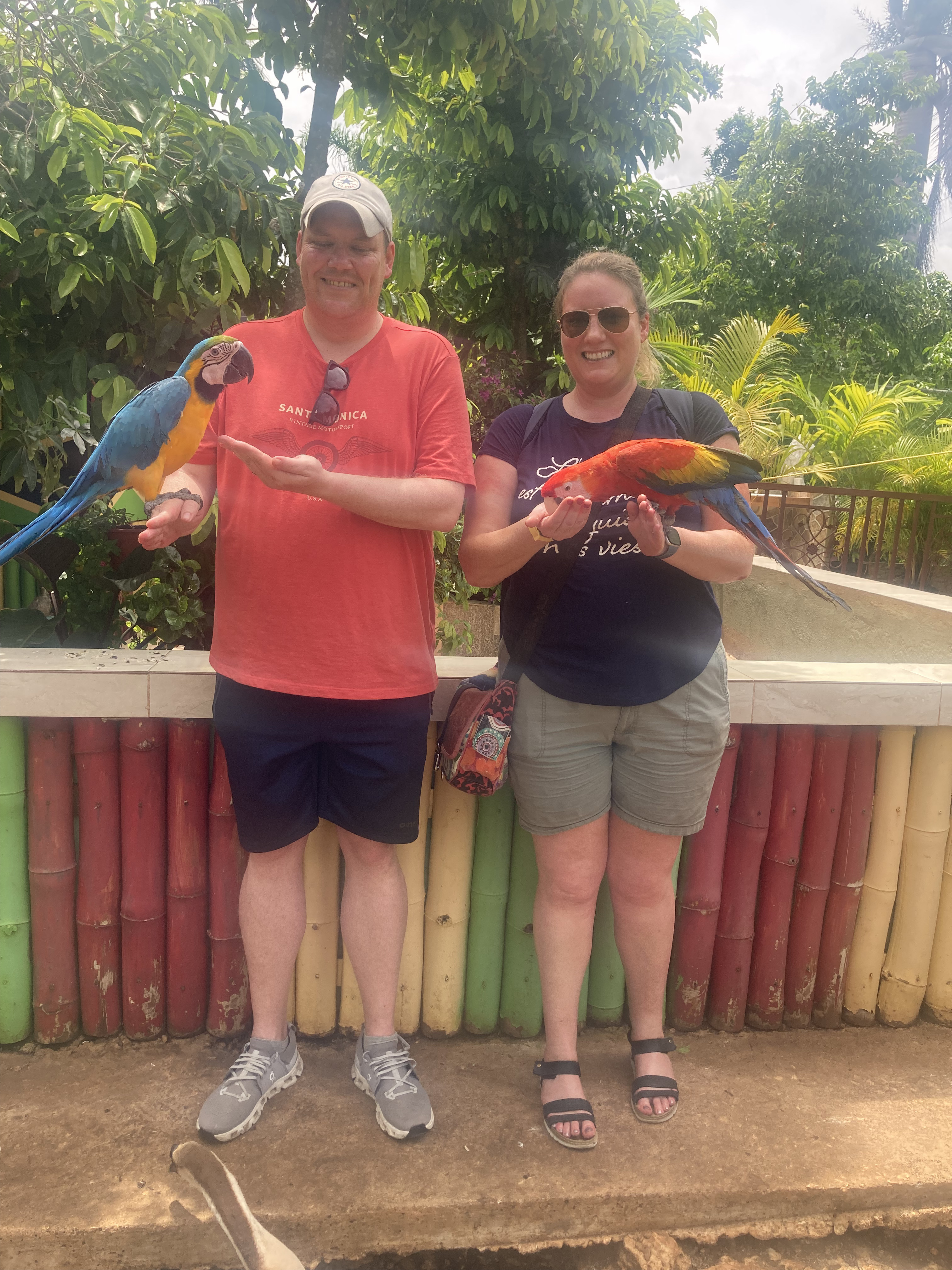 Jamaica trip photo 6