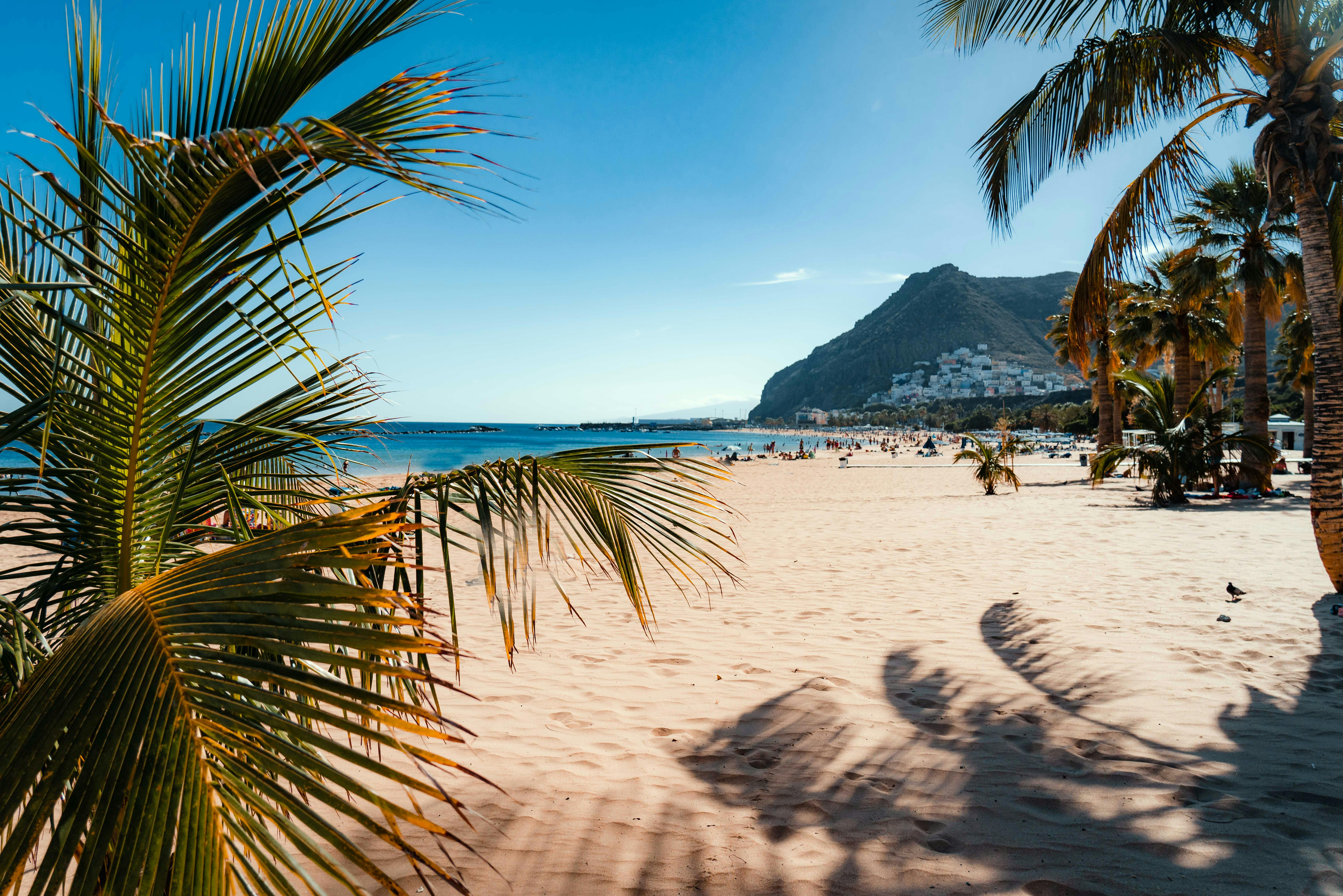 Tenerife beach with palm trees — Two for the Row'd