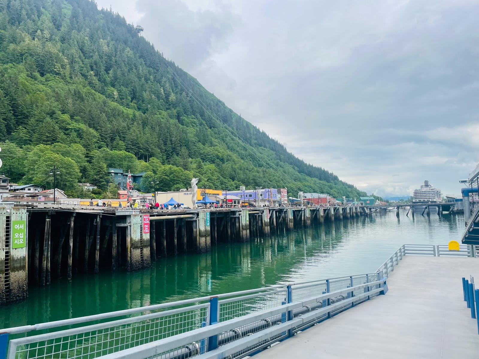 Alaska wildlife — Two for the Row'd