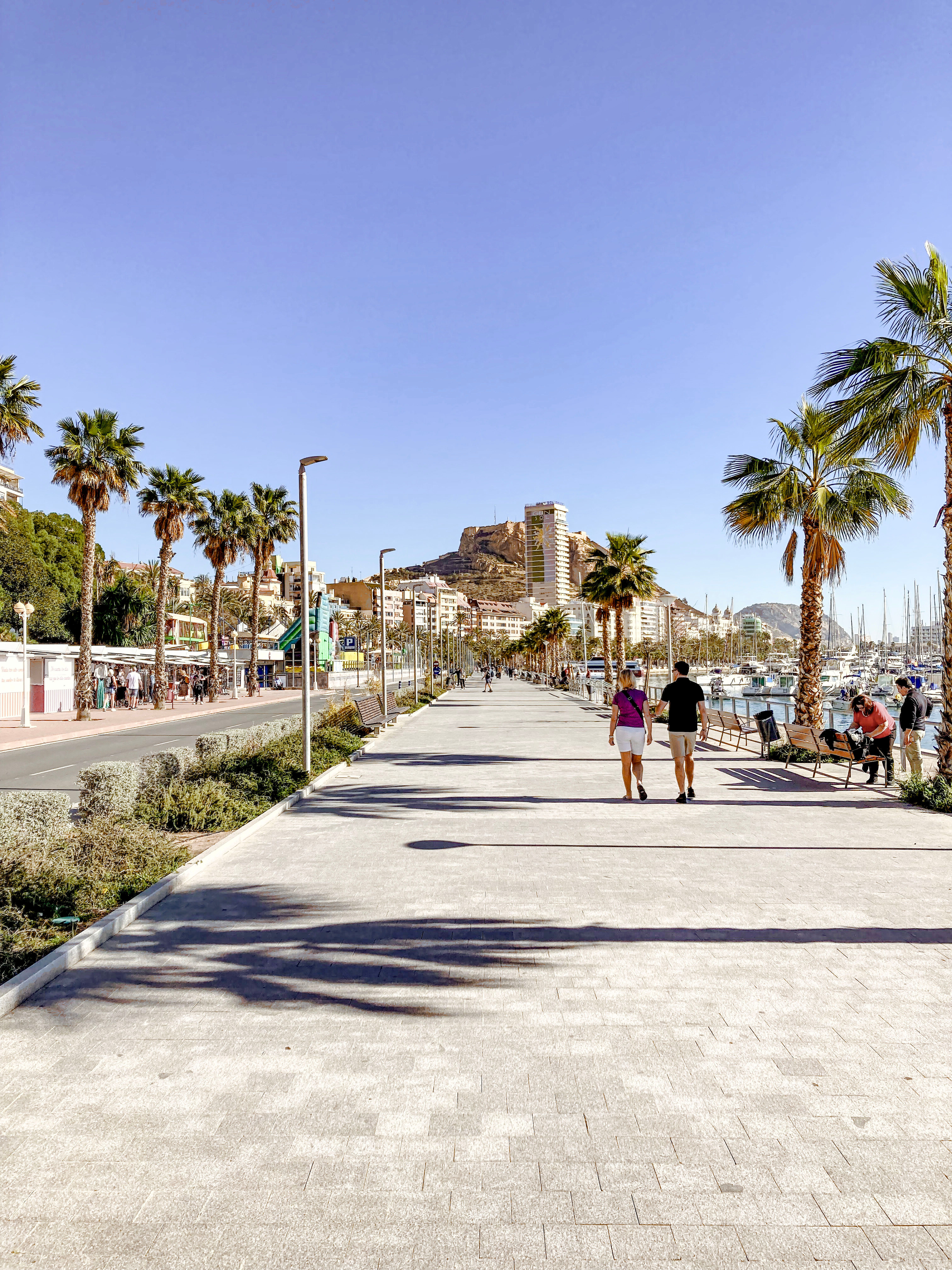 Palm-lined promenade in Alicante