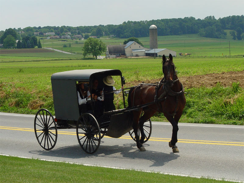 Horse-drawn buggy during our day in Pennsylvania Amish Country