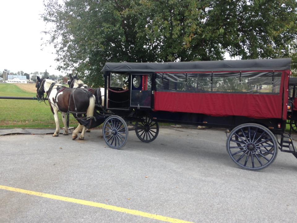 Amish buggy in Pennsylvania Amish Country