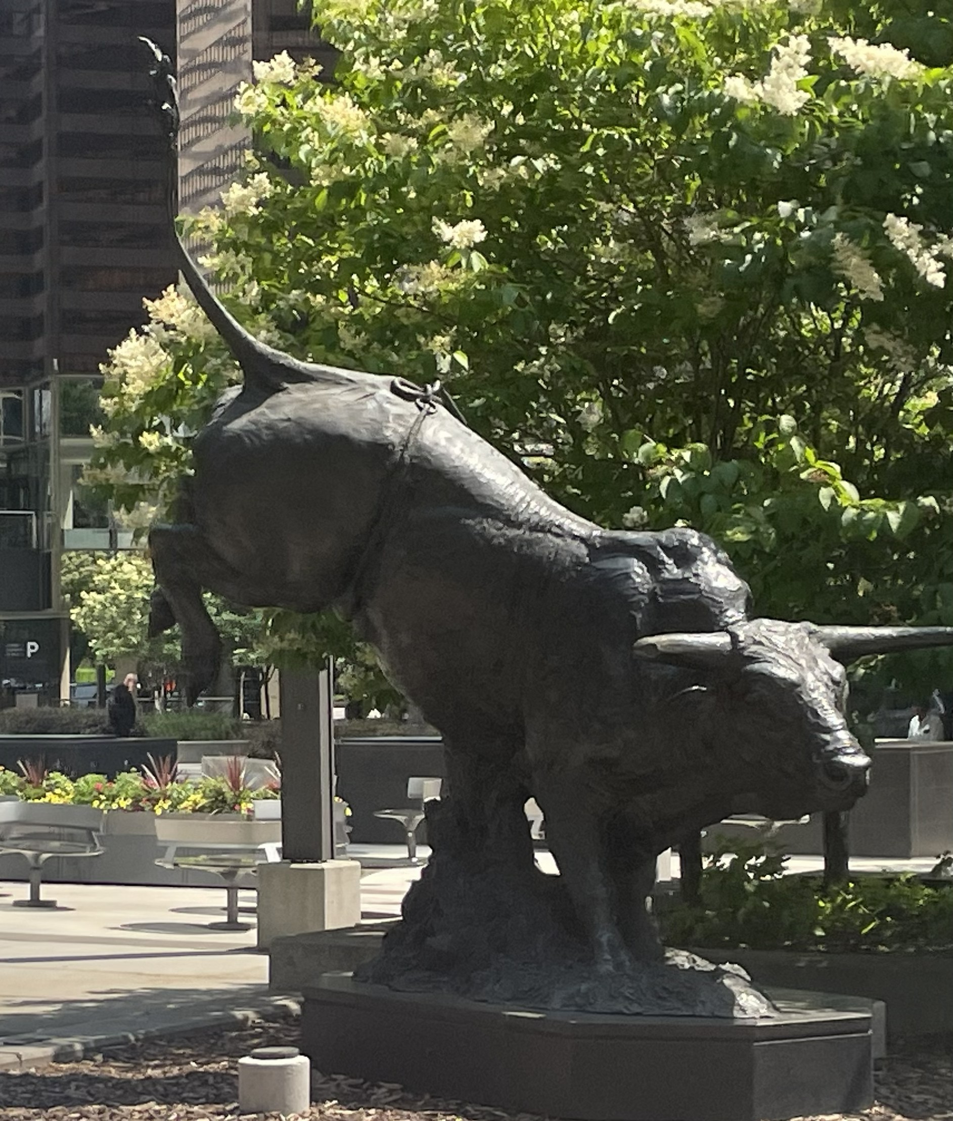 Calgary travel — Two for the Row'd