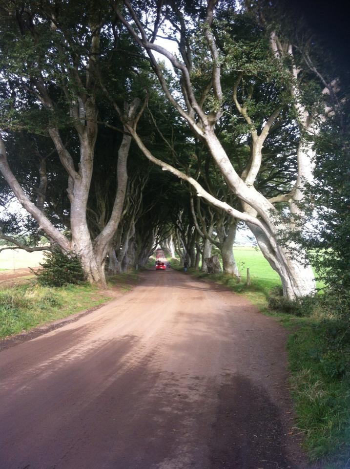 Dark Hedges tree tunnel — Two for the Row'd