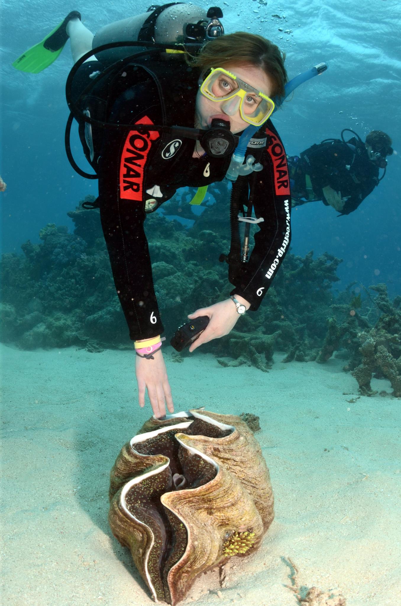 Diving on the Great Barrier Reef during our Cairns trip