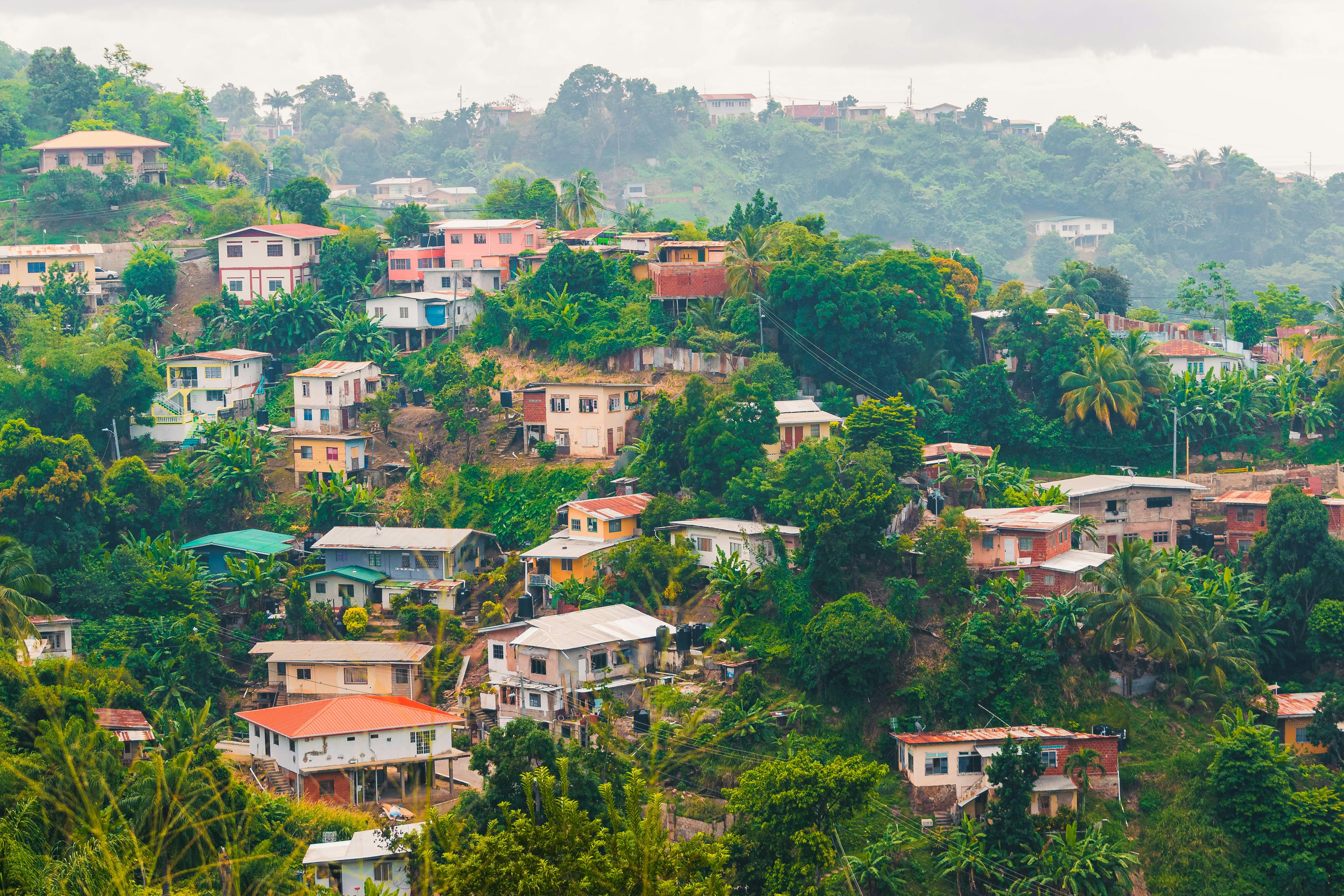 Dominica rainforest and island scenery — Two for the Row'd
