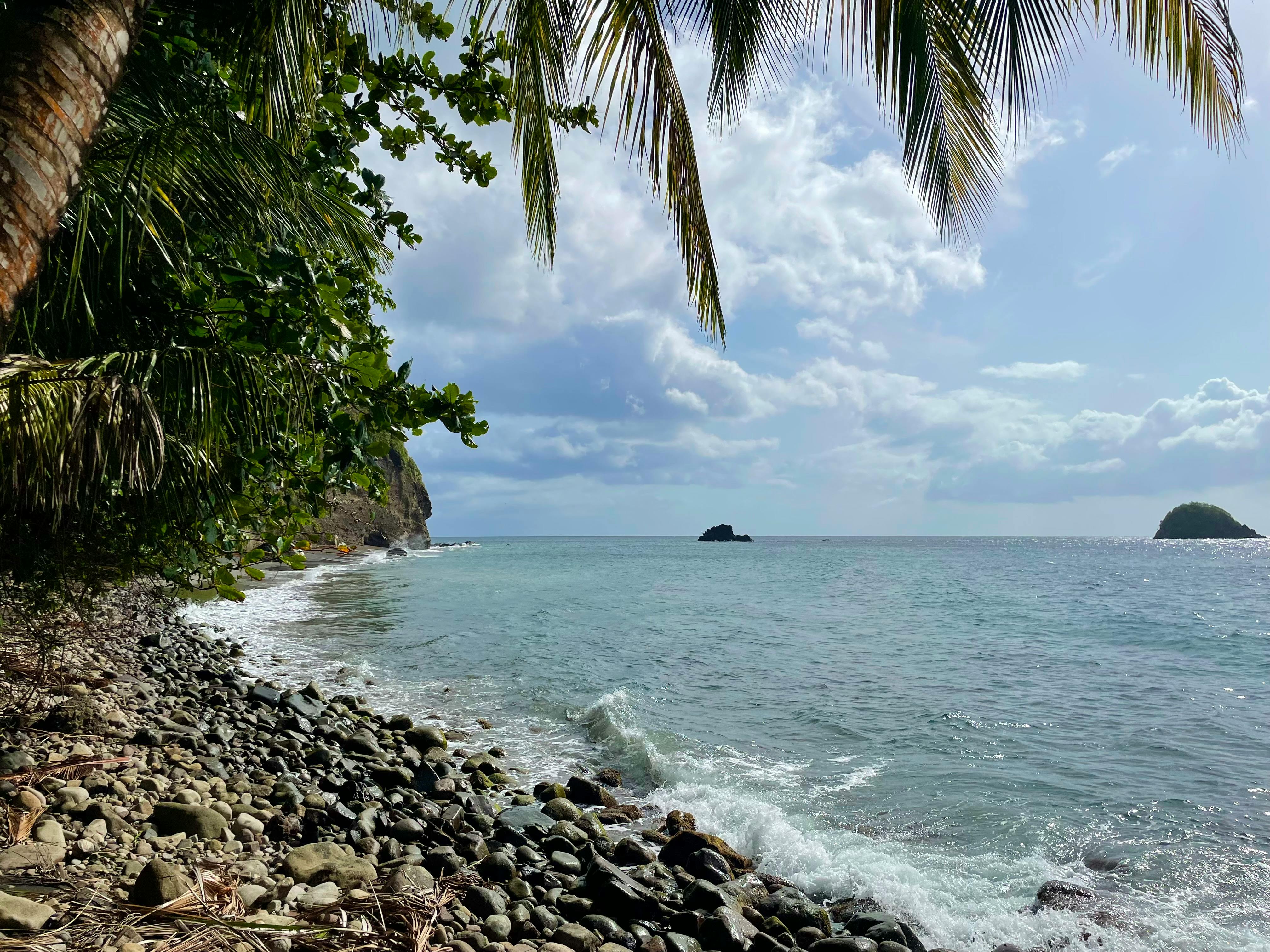 Dominica jungle road trip views — Two for the Row'd