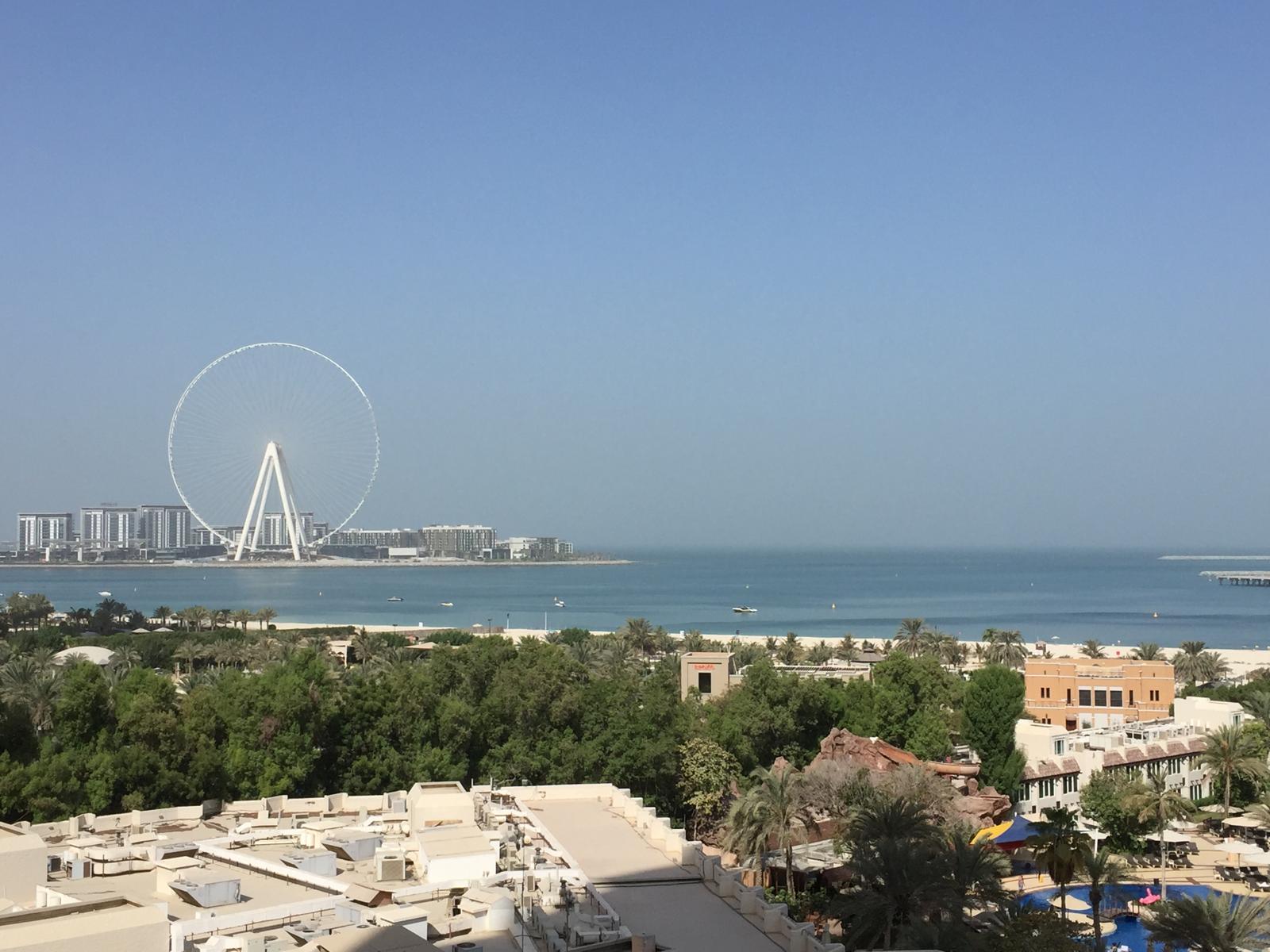 Dubai waterfront — Two for the Row'd