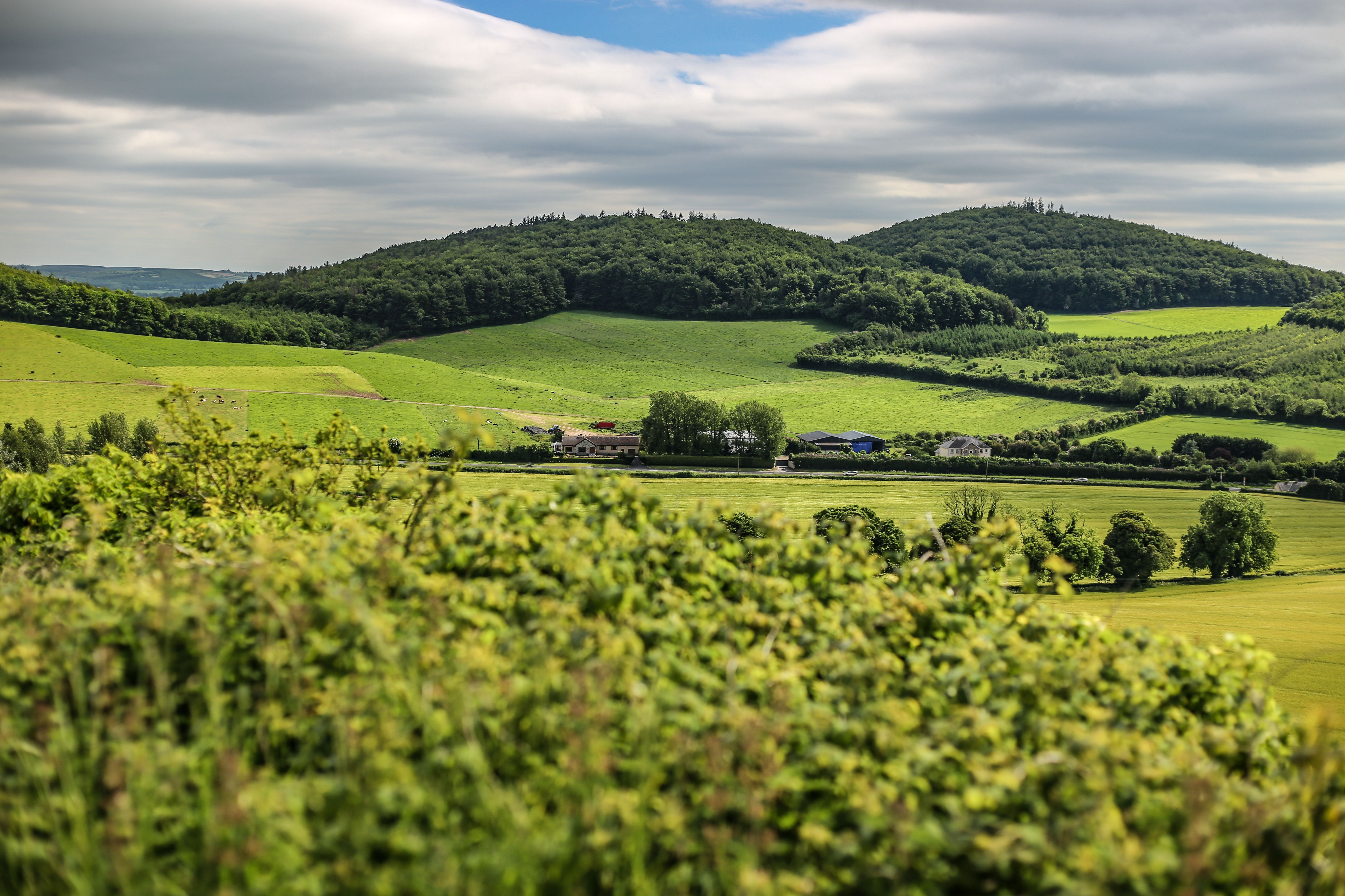 English countryside — Two for the Row'd