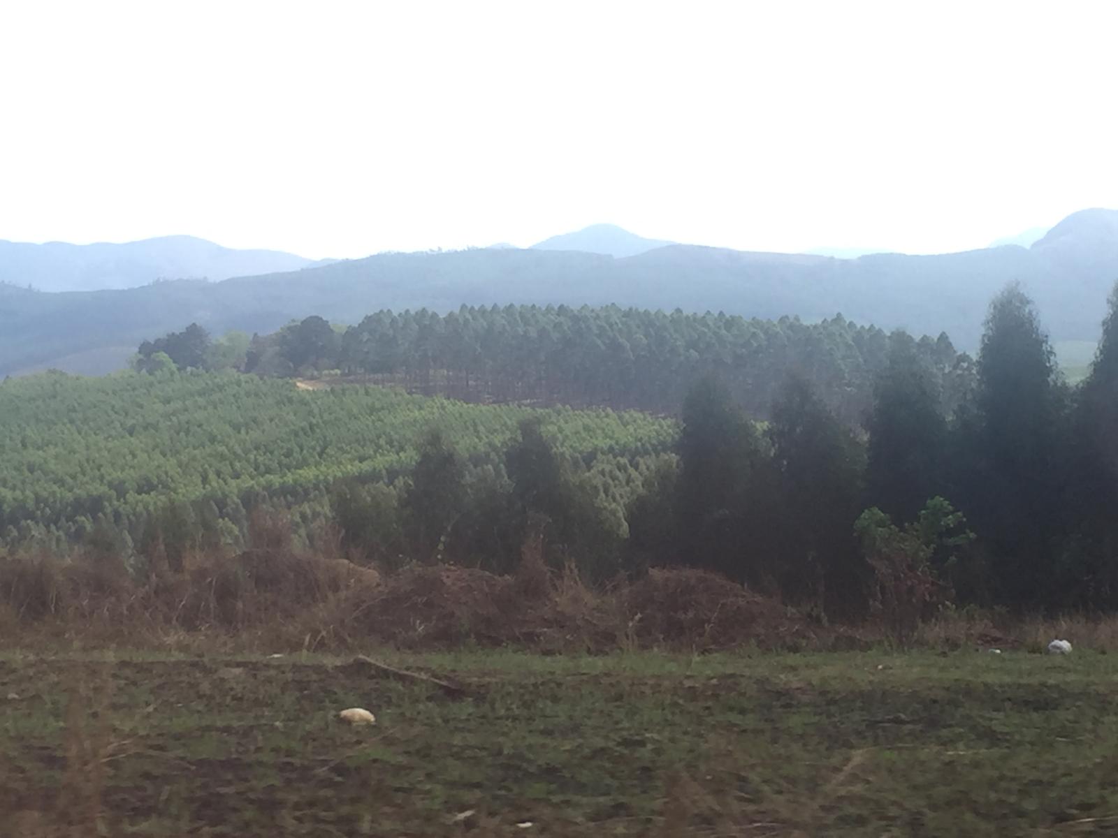 Eswatini highland mountain landscape — Two for the Row'd