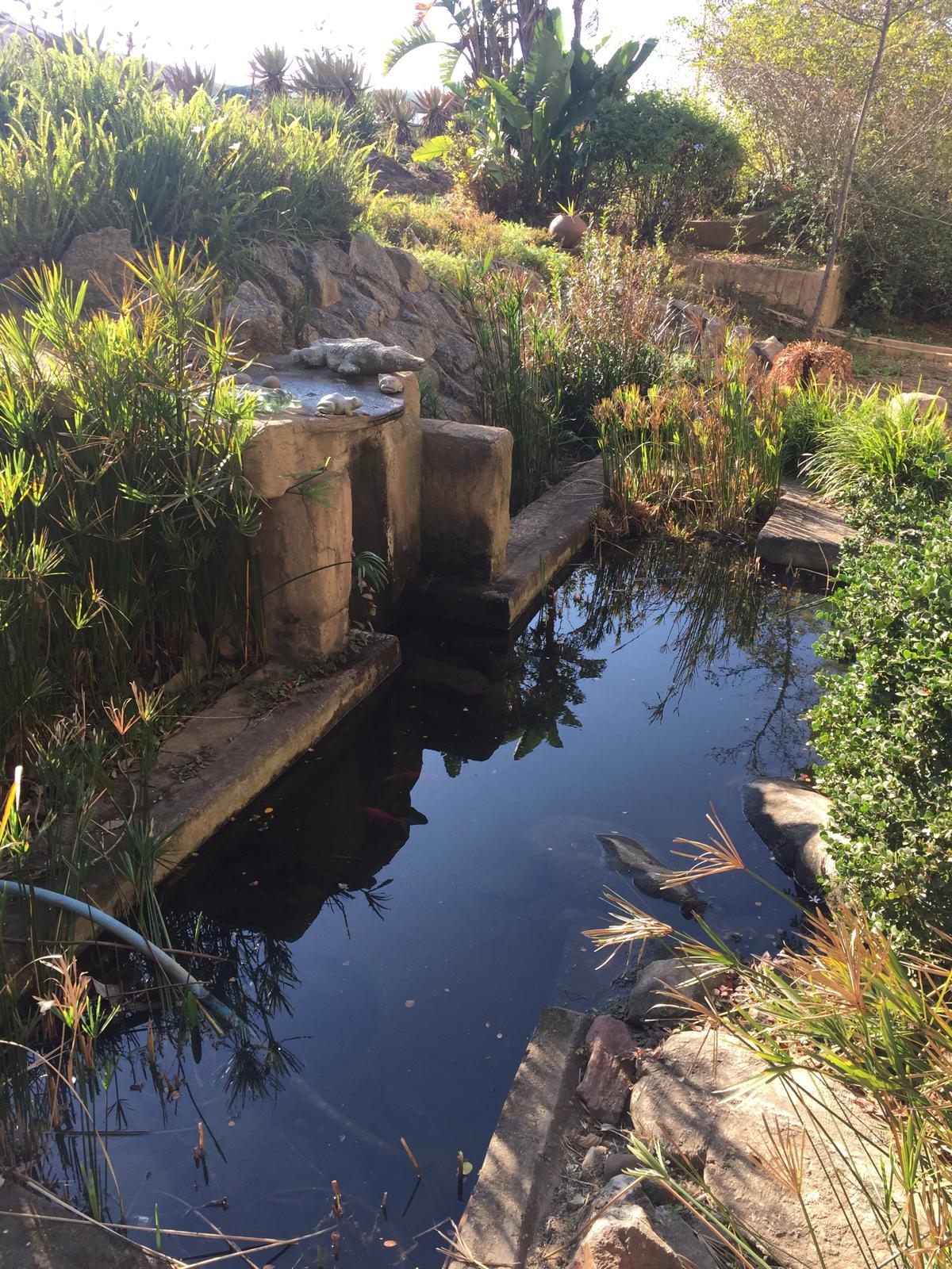 Eswatini traditional homestead water feature — Two for the Row'd