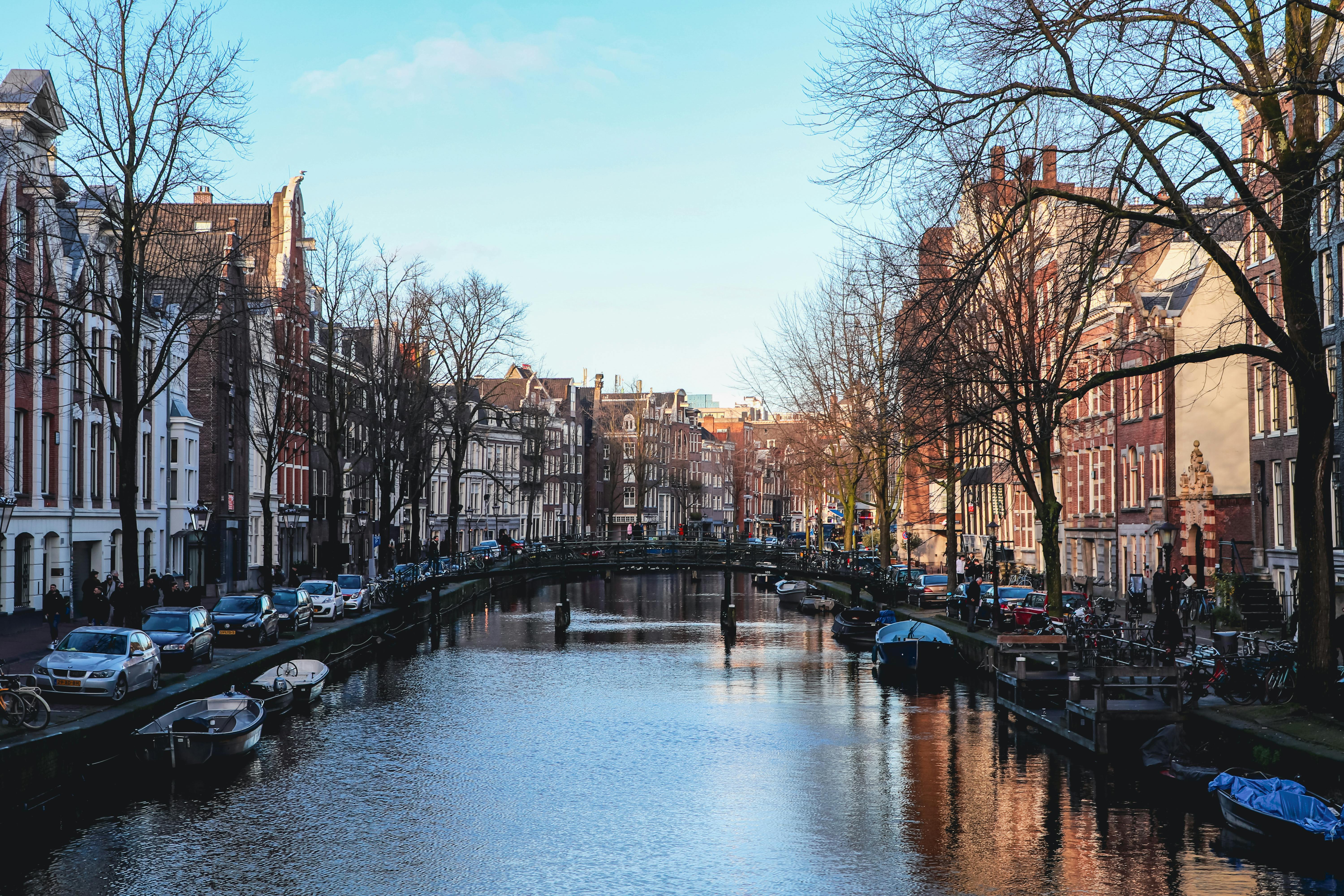 The Hague — Two for the Row'd