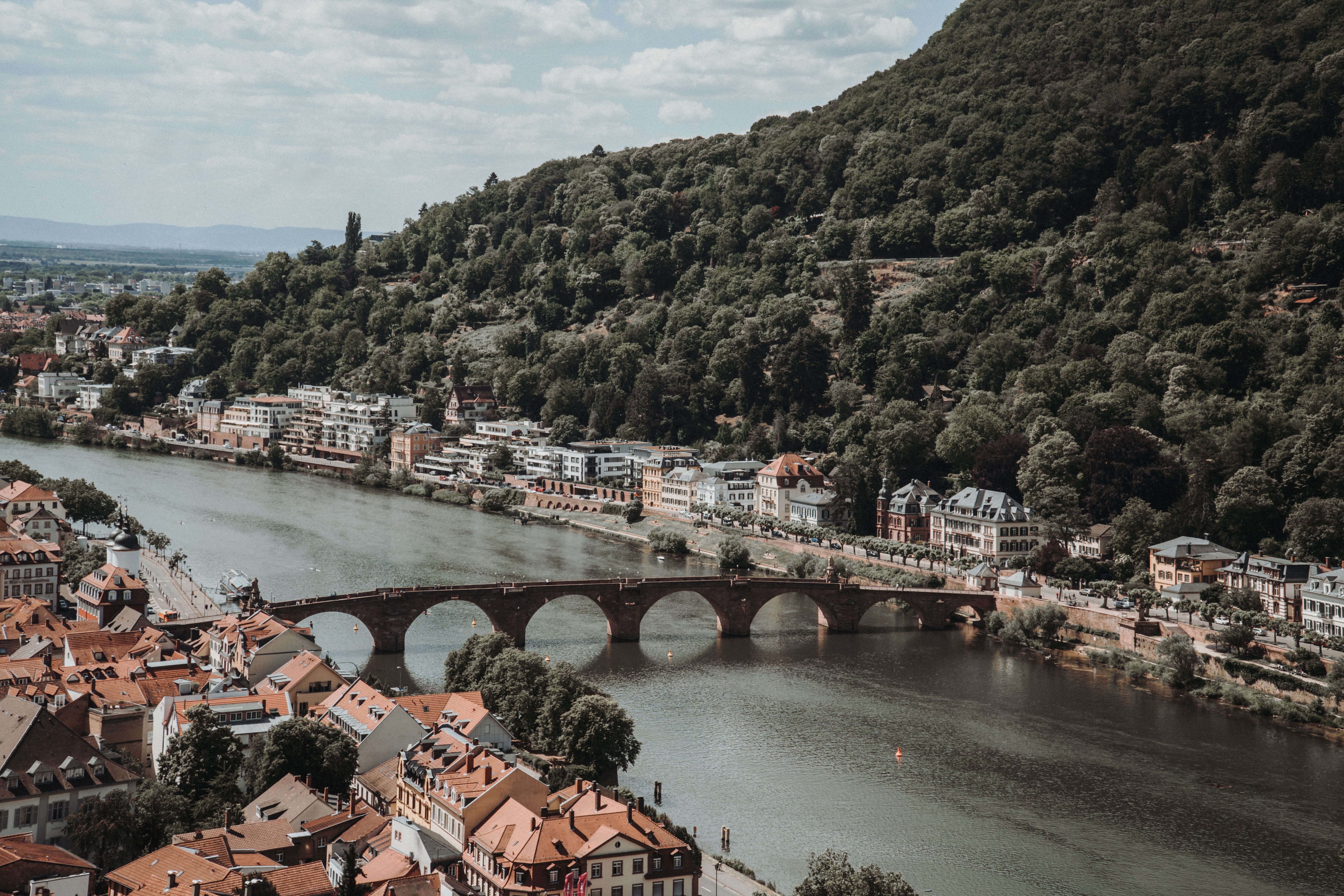 View across Heidelberg and the Neckar valley — Two for the Row'd