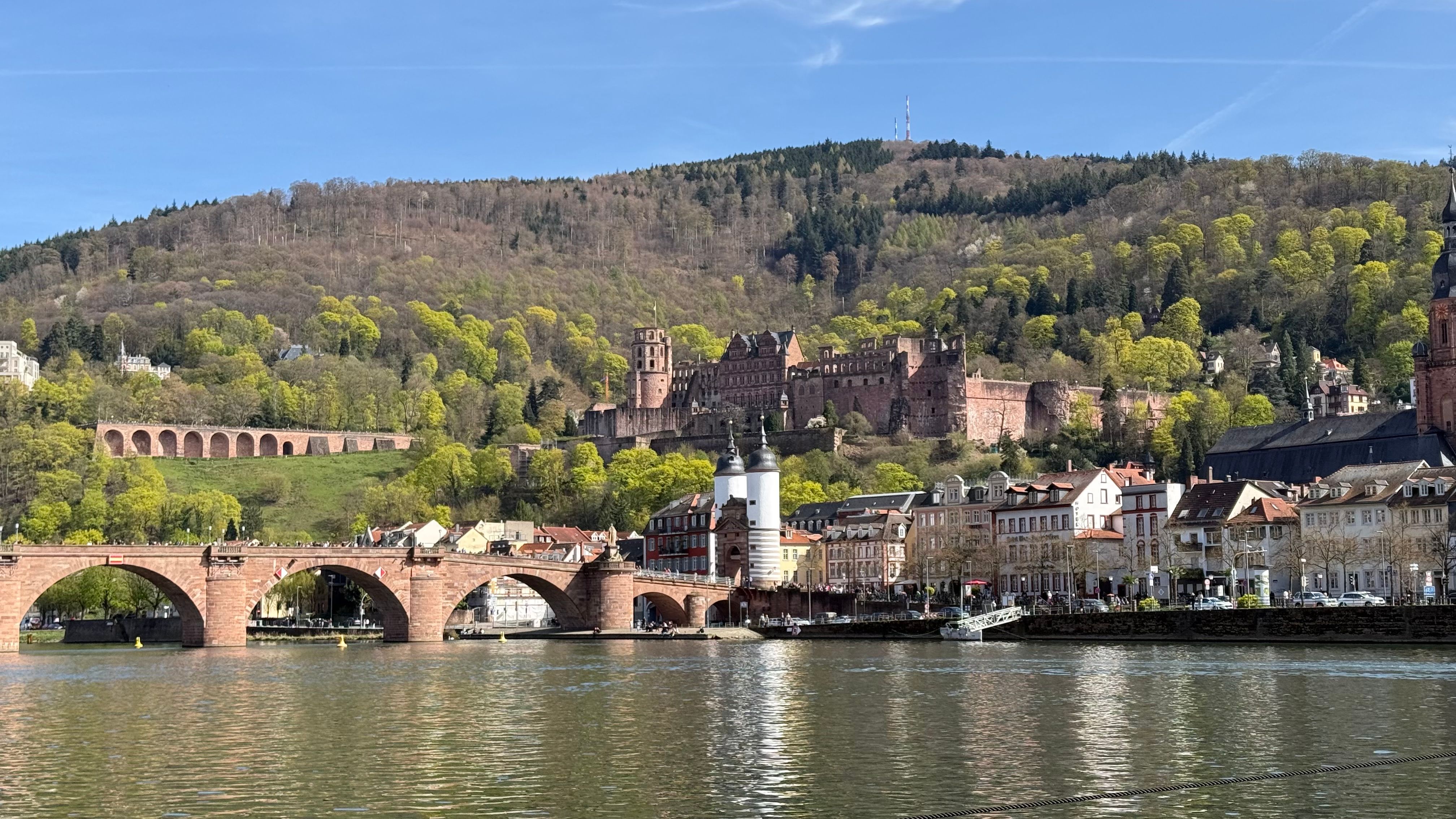 Heidelberg and the River Neckar — Two for the Row'd