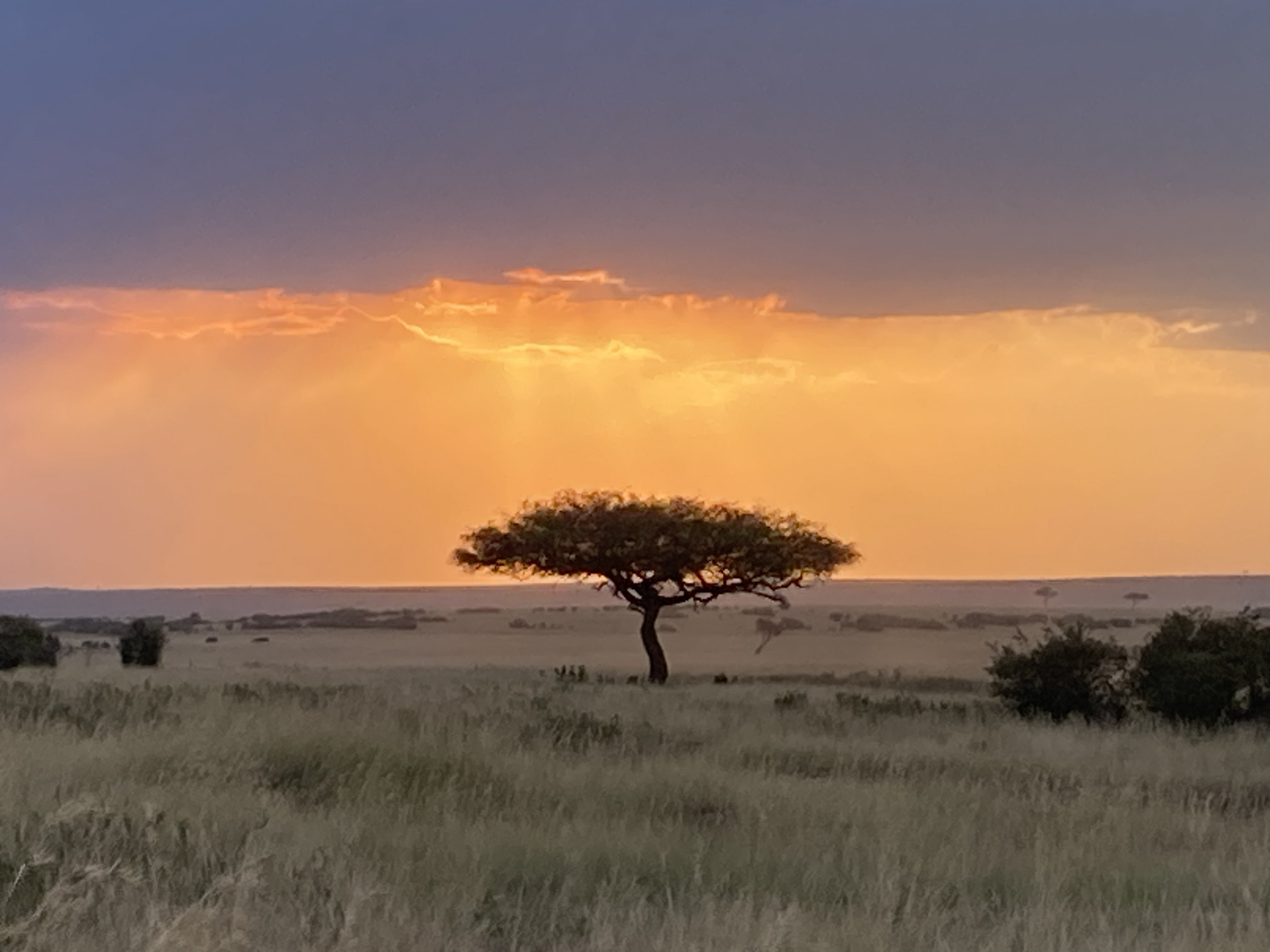 Kenya safari sunset — Two for the Row'd