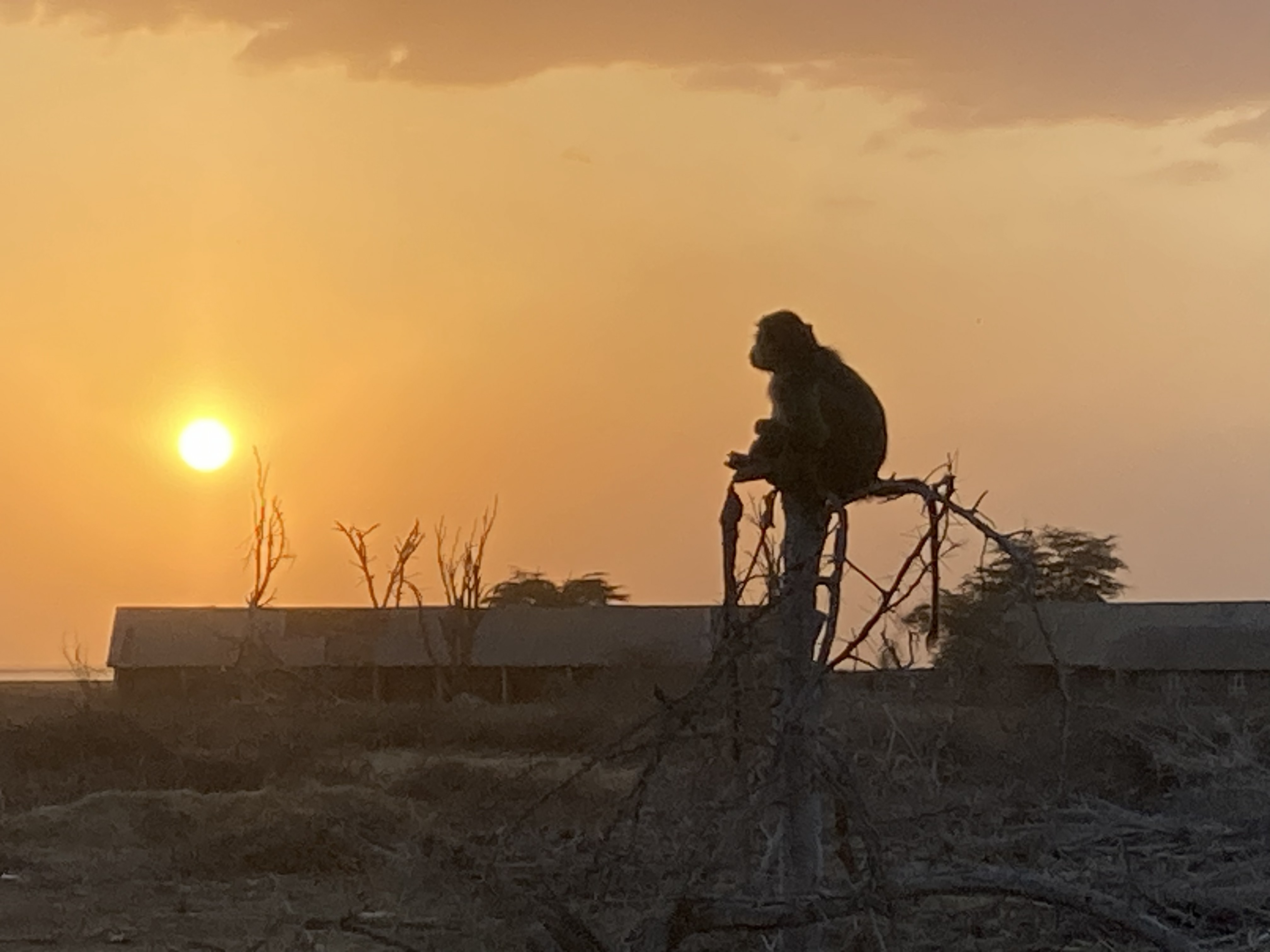 Kenya sunset — Two for the Row'd