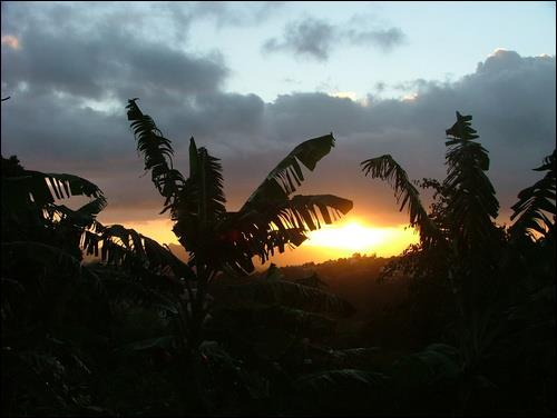 Tropical sunset in Martinique — Two for the Row'd