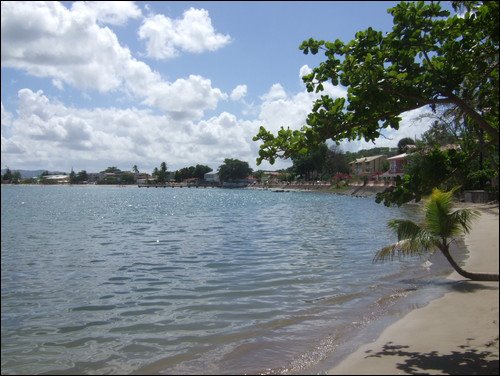 Martinique coastal scene — Two for the Row'd