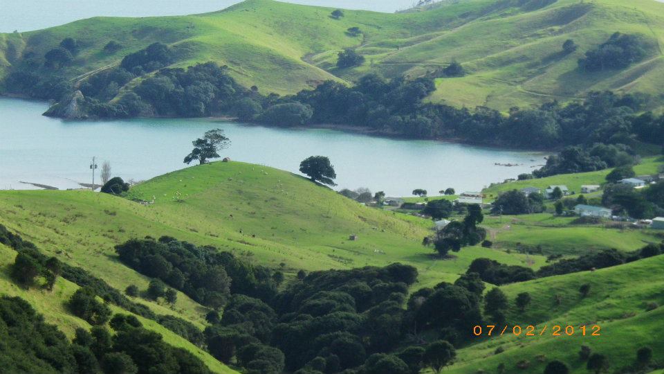 New Zealand green hills — Two for the Row'd