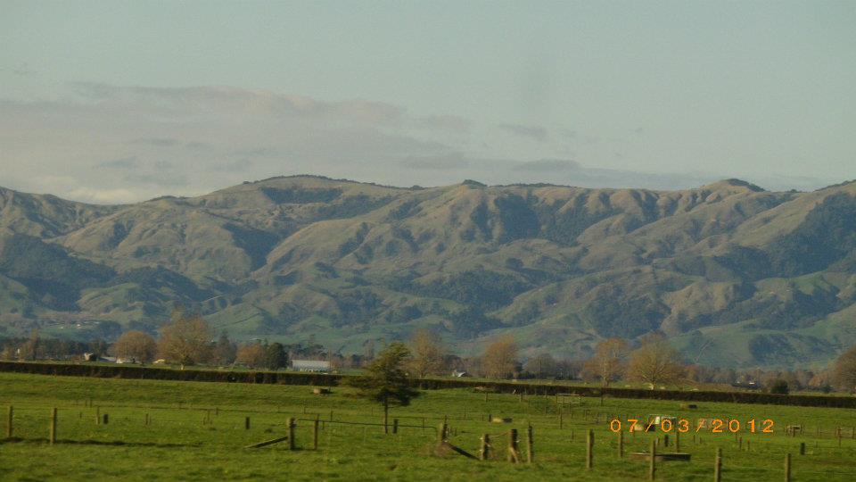 New Zealand landscape — Two for the Row'd