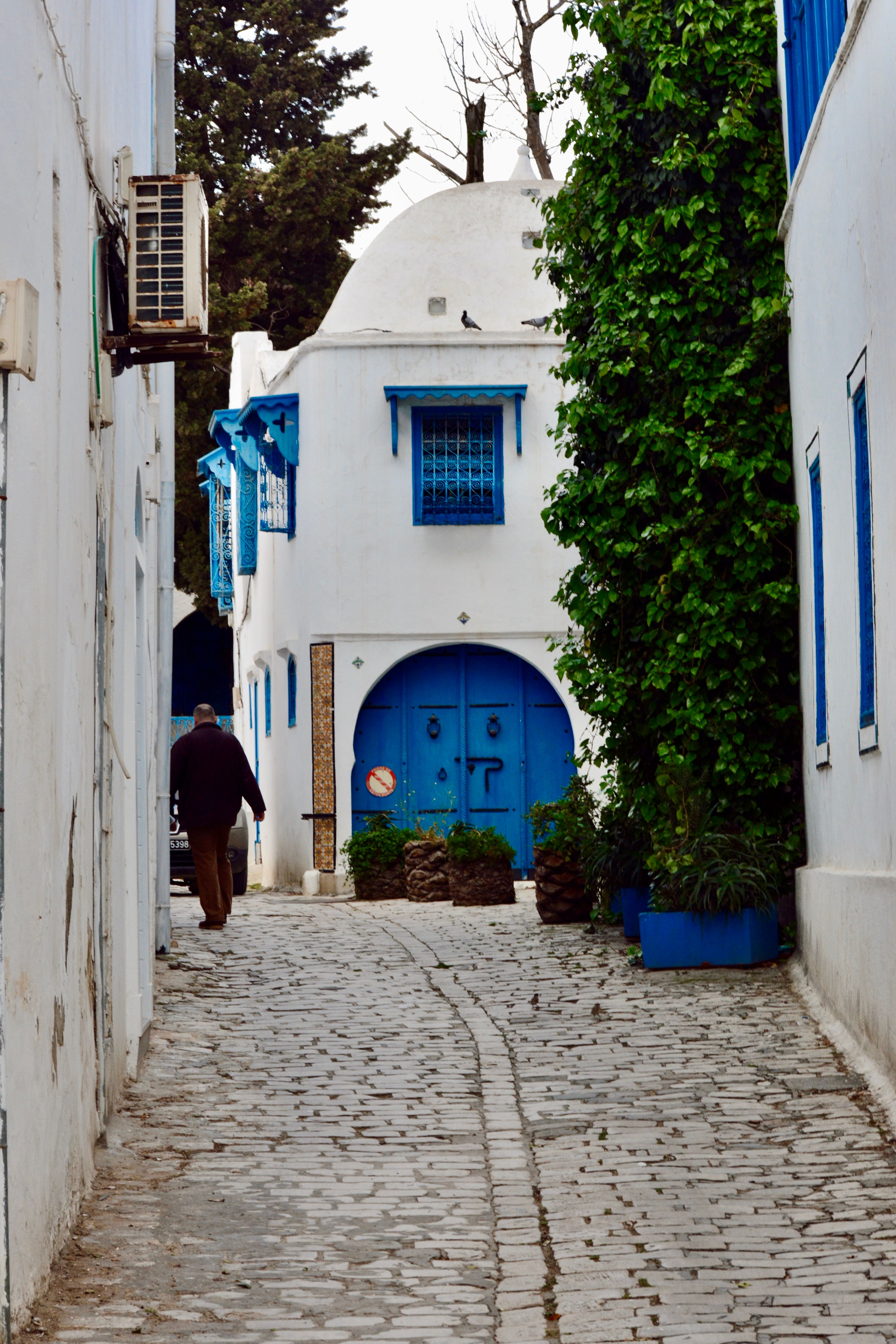 Our visit to Tunis in 2009