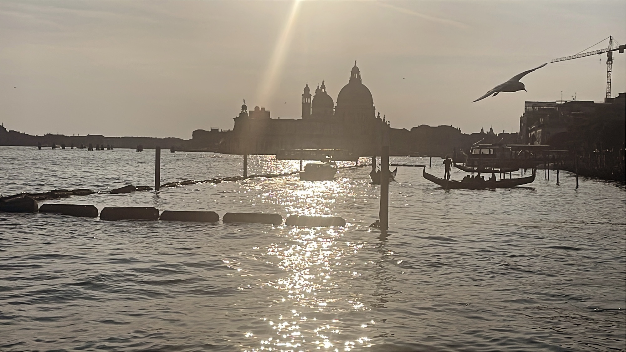 Winter lagoon view in Venice photographed by Two for the Row'd