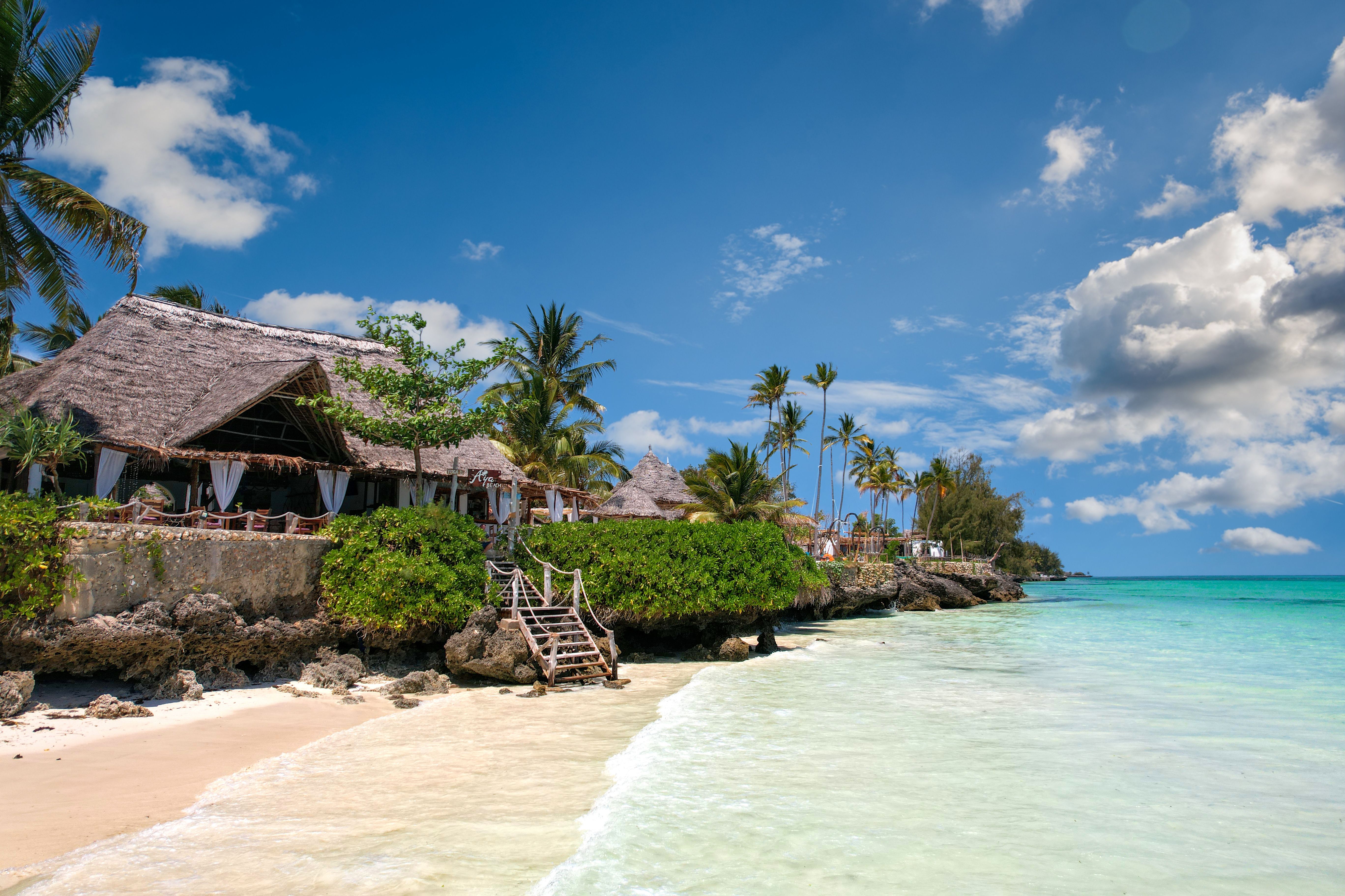 Turquoise shoreline and palm trees in Zanzibar
