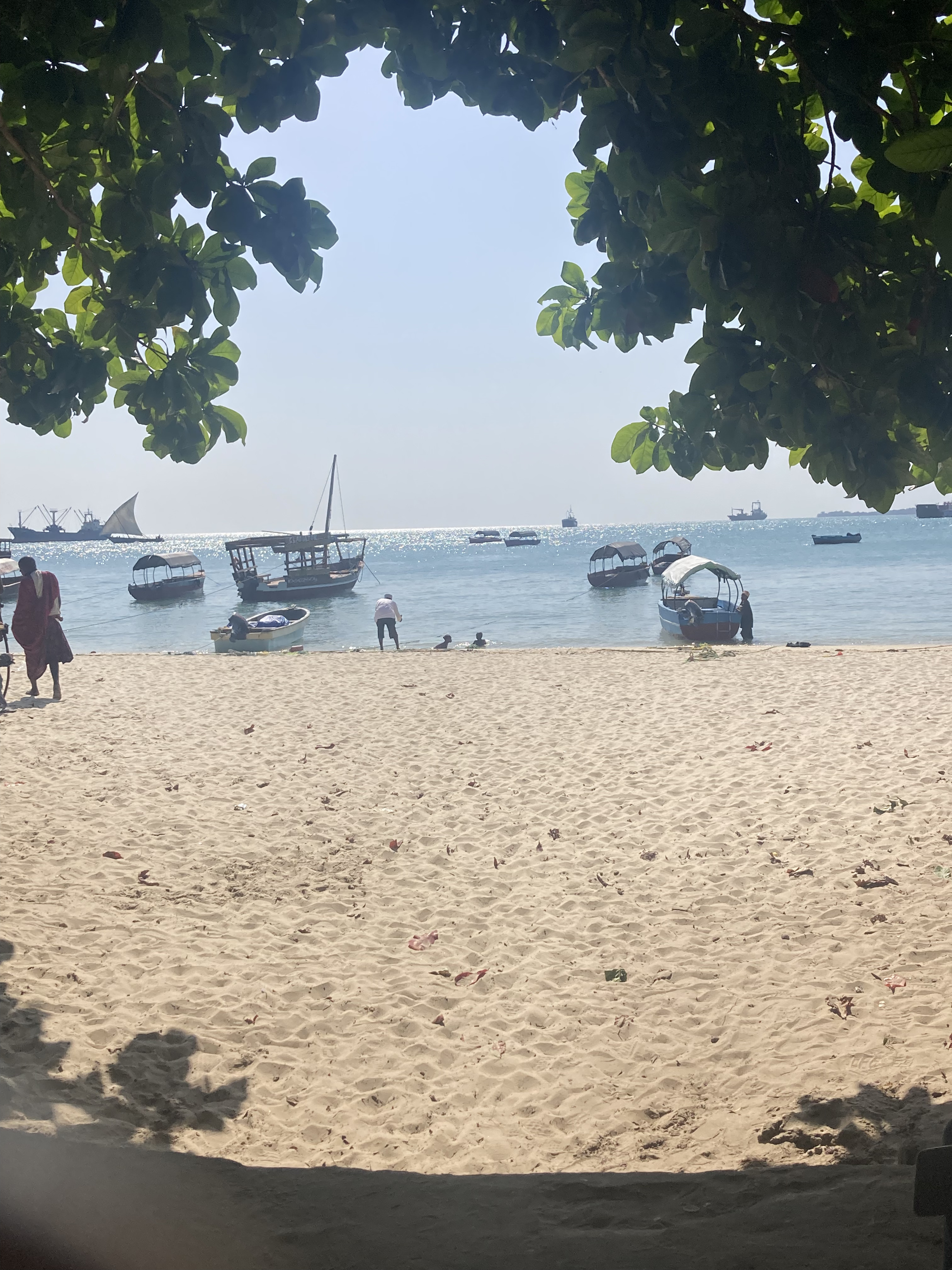 Sandy Zanzibar waterfront with boats offshore